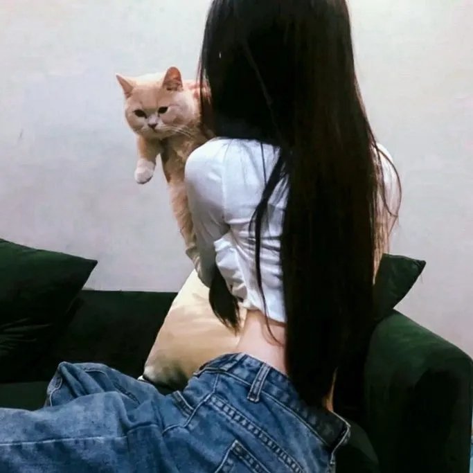 奇石
